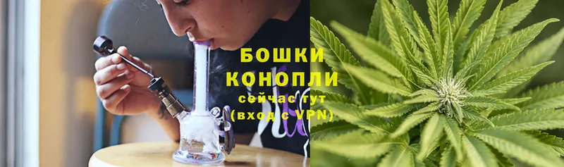 Шишки марихуана OG Kush  omg ссылка  Богородицк 